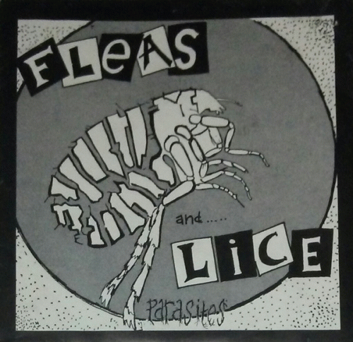 Fleas And Lice : Parasites